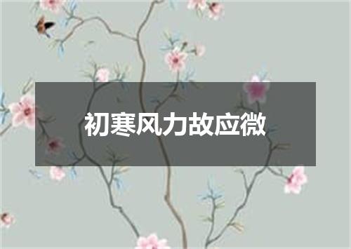 初寒风力故应微