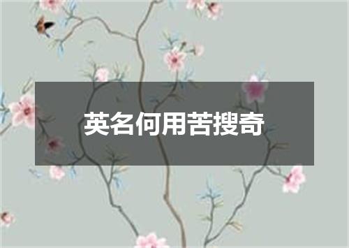 英名何用苦搜奇