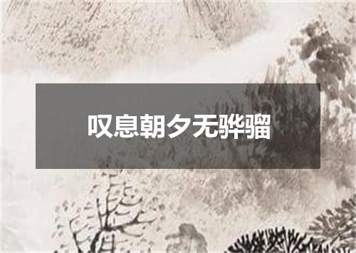 叹息朝夕无骅骝