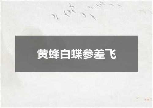 黄蜂白蝶参差飞