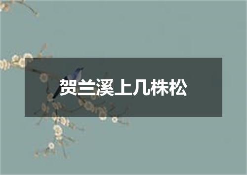 贺兰溪上几株松