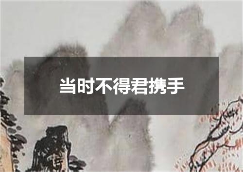 当时不得君携手