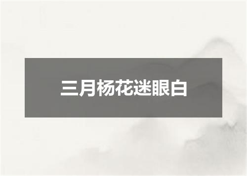 三月杨花迷眼白