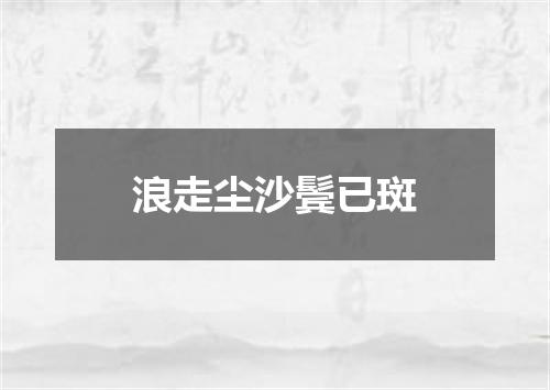 浪走尘沙鬓已斑