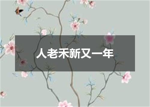 人老禾新又一年