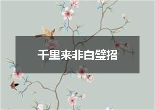 千里来非白璧招
