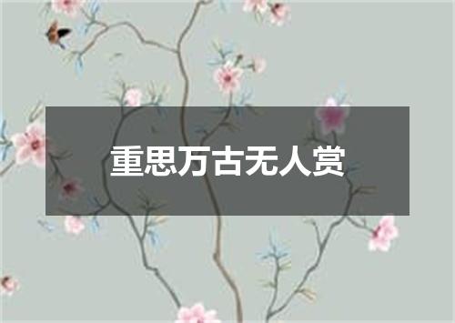 重思万古无人赏