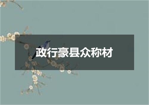 政行豪县众称材