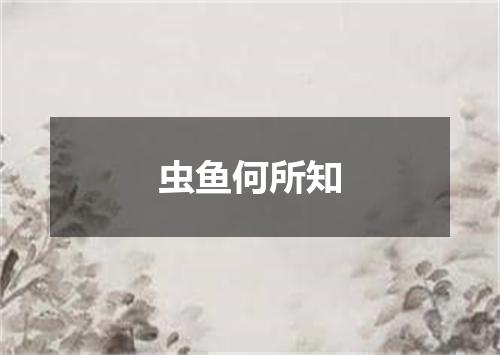 虫鱼何所知