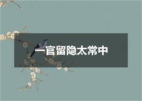 一官留隐太常中