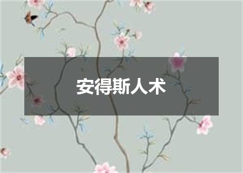 安得斯人术