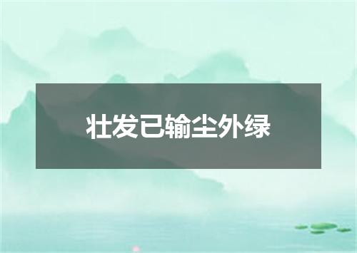 壮发已输尘外绿