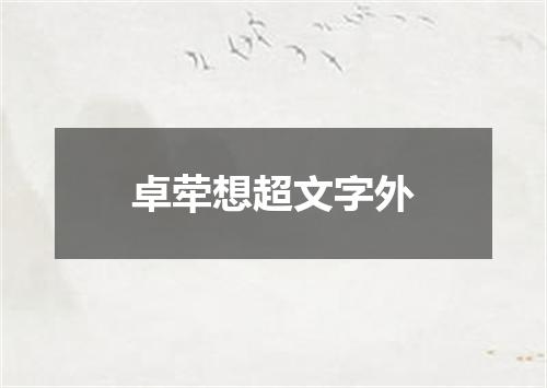 卓荦想超文字外
