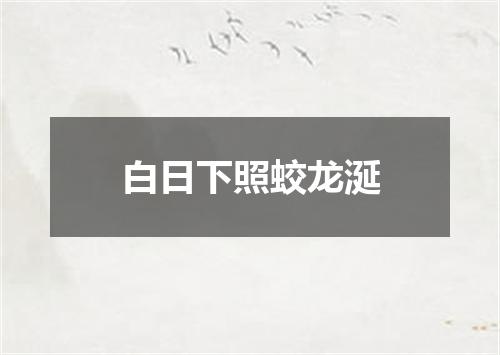 白日下照蛟龙涎