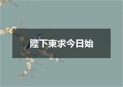 陛下柬求今日始