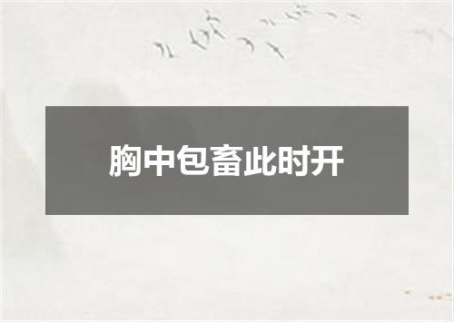 胸中包畜此时开