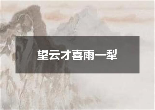 望云才喜雨一犁