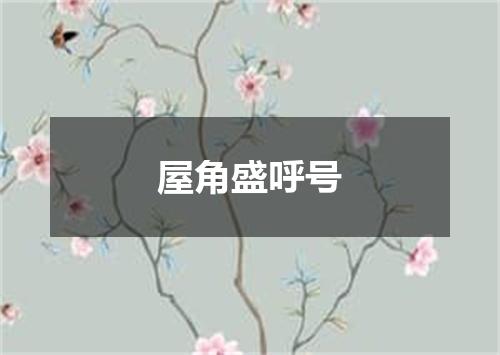 屋角盛呼号