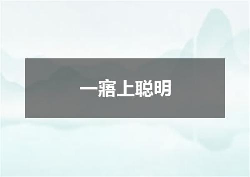 一寤上聪明