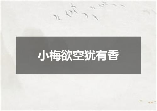 小梅欲空犹有香