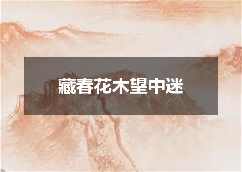 藏春花木望中迷