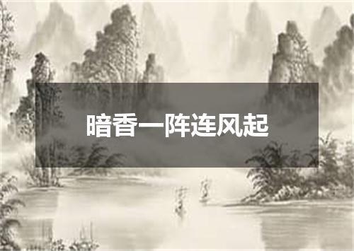 暗香一阵连风起