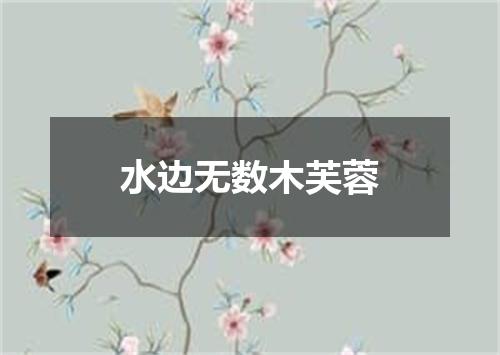 水边无数木芙蓉