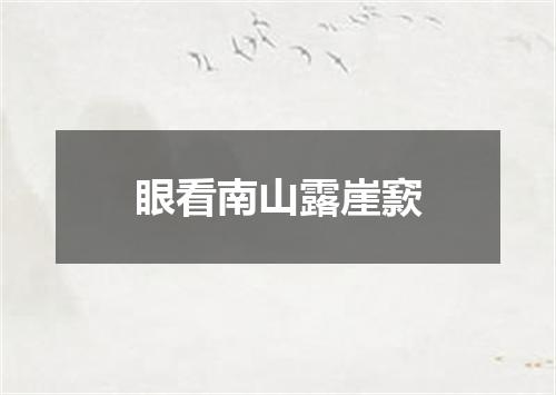 眼看南山露崖窾