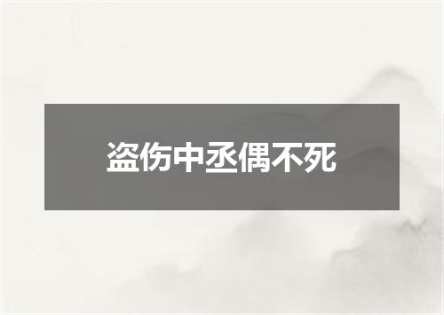 盗伤中丞偶不死