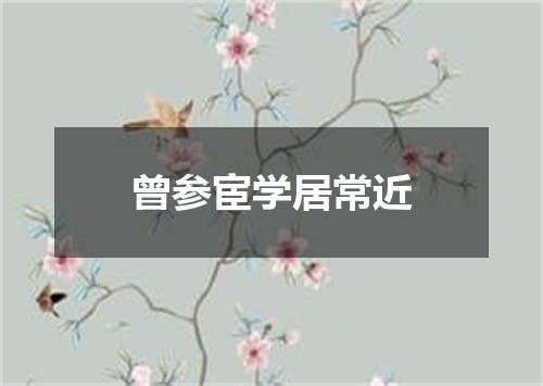 曾参宦学居常近