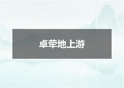 卓荦地上游