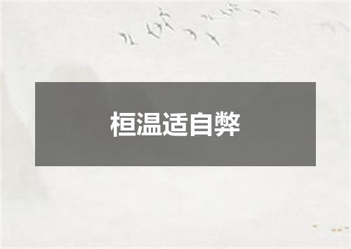 桓温适自弊