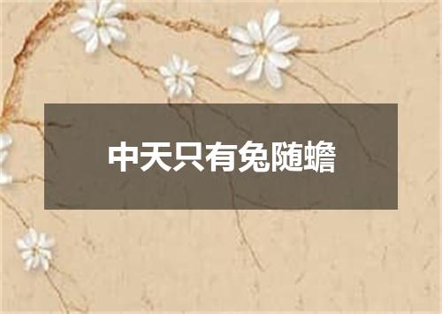 中天只有兔随蟾