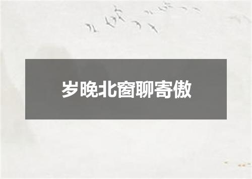 岁晚北窗聊寄傲
