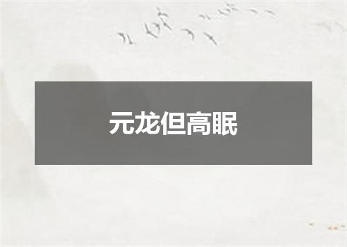 元龙但高眠