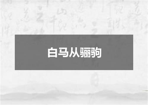 白马从骊驹