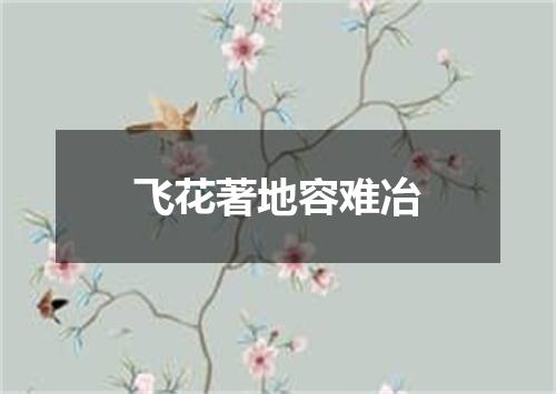 飞花著地容难冶