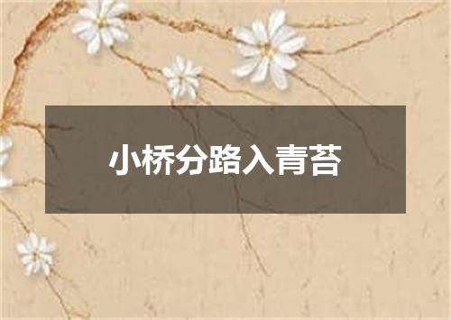 小桥分路入青苔