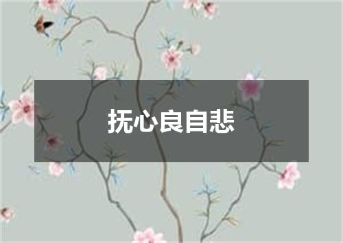 抚心良自悲