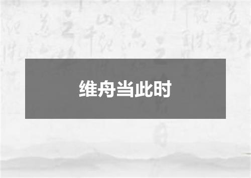 维舟当此时