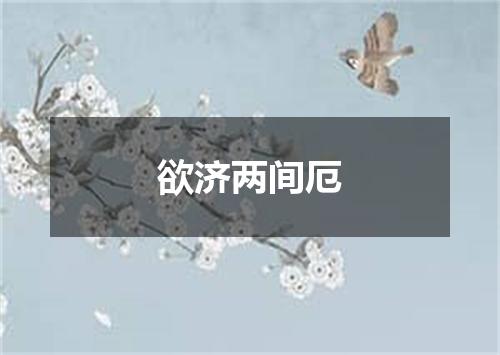 欲济两间厄