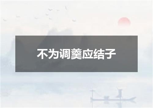 不为调羹应结子