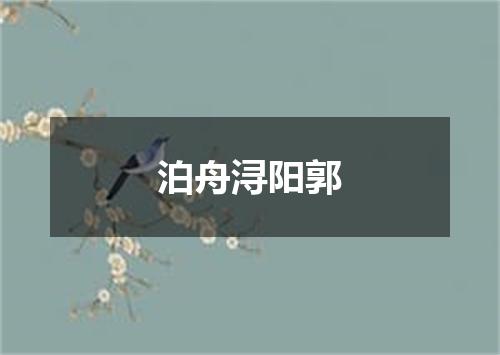 泊舟浔阳郭