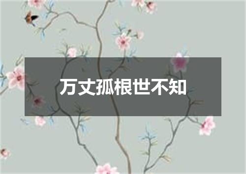 万丈孤根世不知