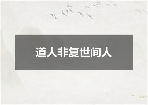 道人非复世间人
