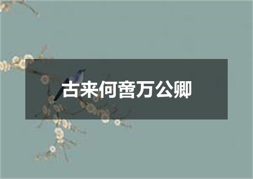 古来何啻万公卿