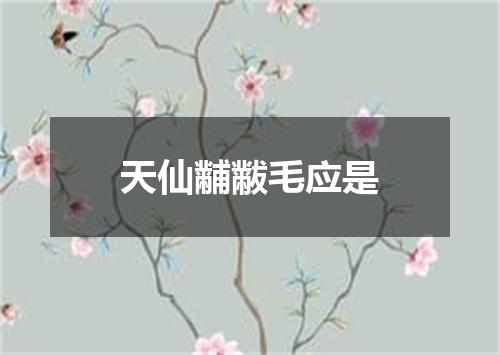 天仙黼黻毛应是