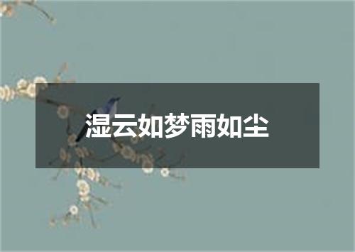 湿云如梦雨如尘