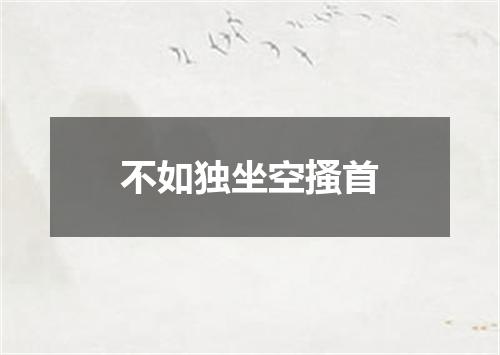 不如独坐空搔首
