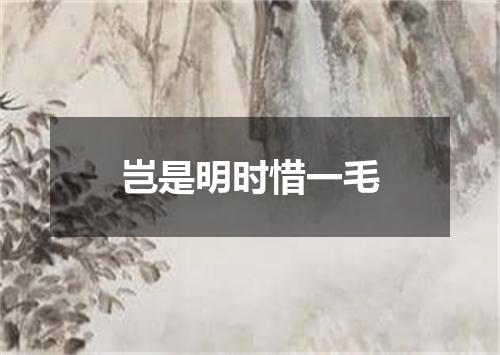 岂是明时惜一毛